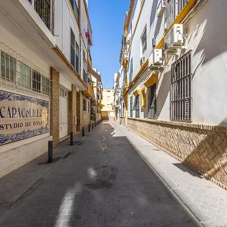 Atico Fortaleza Ii En El Casco Antiguo De Triana Apartment Seville